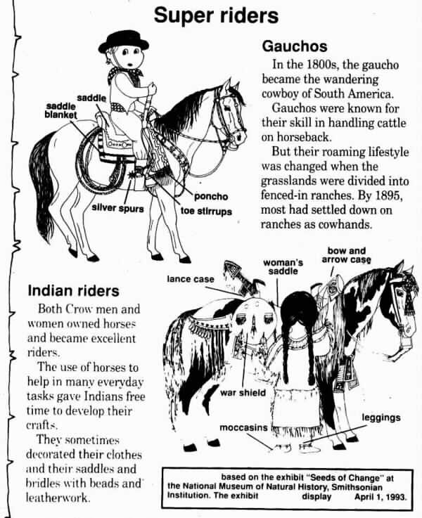 horse history facts