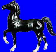 image model horse 2
