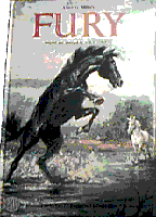 image Fury book 7