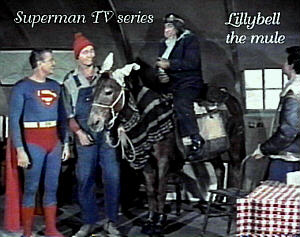 image mule in superman tv series