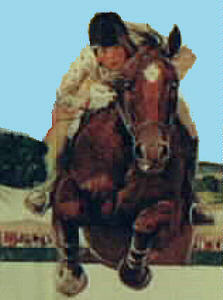 image international velvet horse