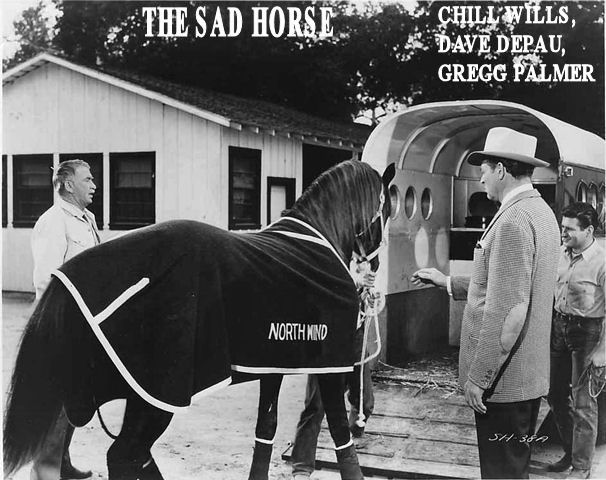 Sad Horse Movie